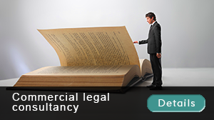 Commercial Legal Consultancy